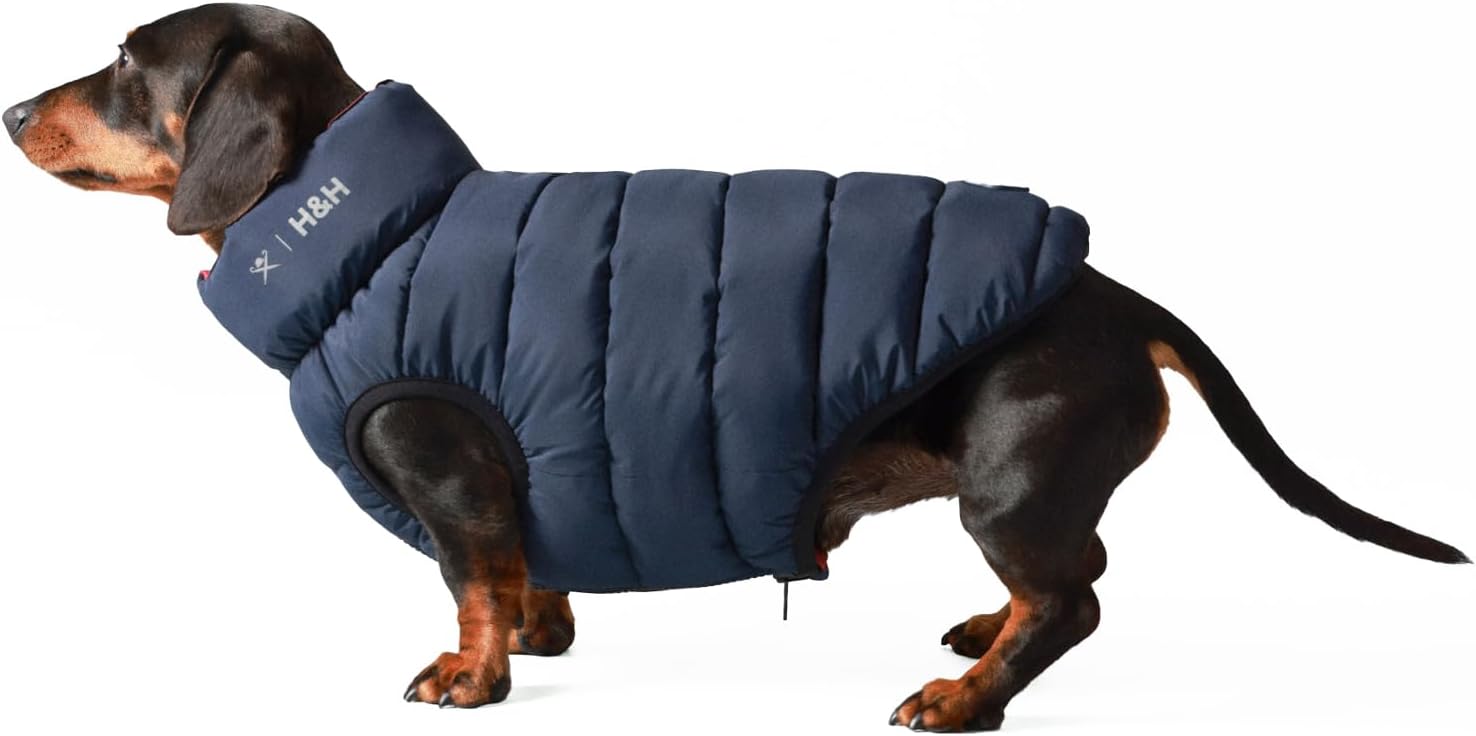 dog jackets amazon