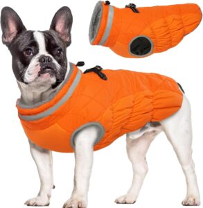 dog jackets amazon