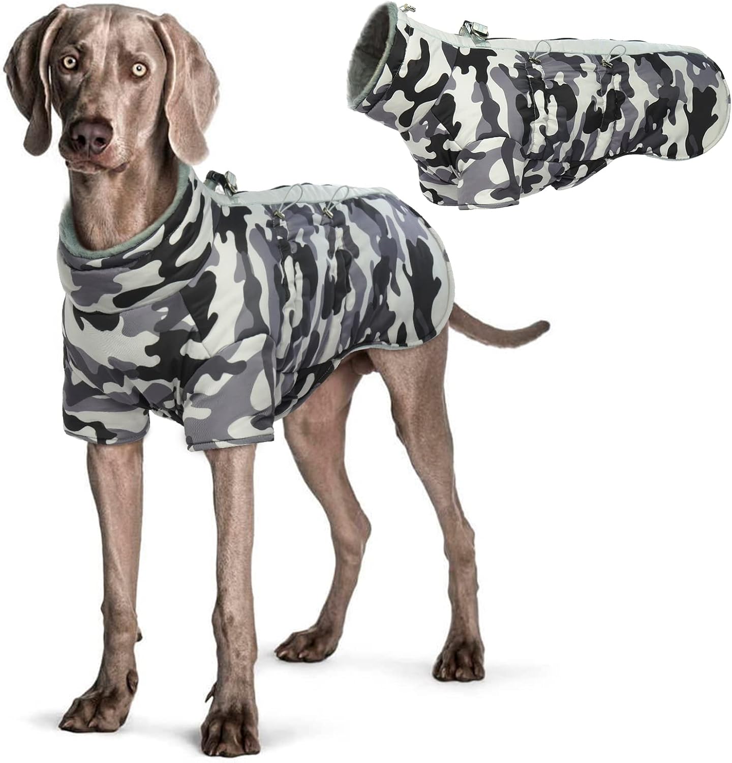 dog jackets amazon