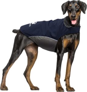 dog jackets amazon