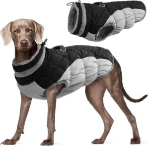 dog jackets amazon