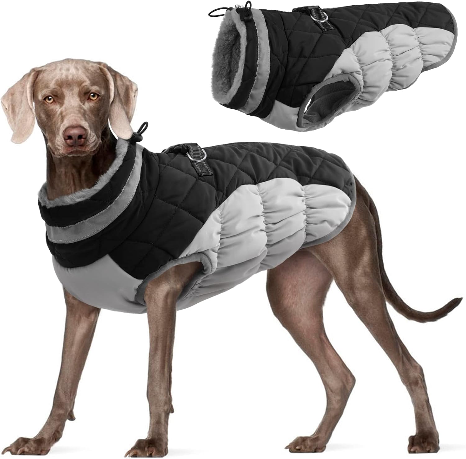 dog jackets amazon