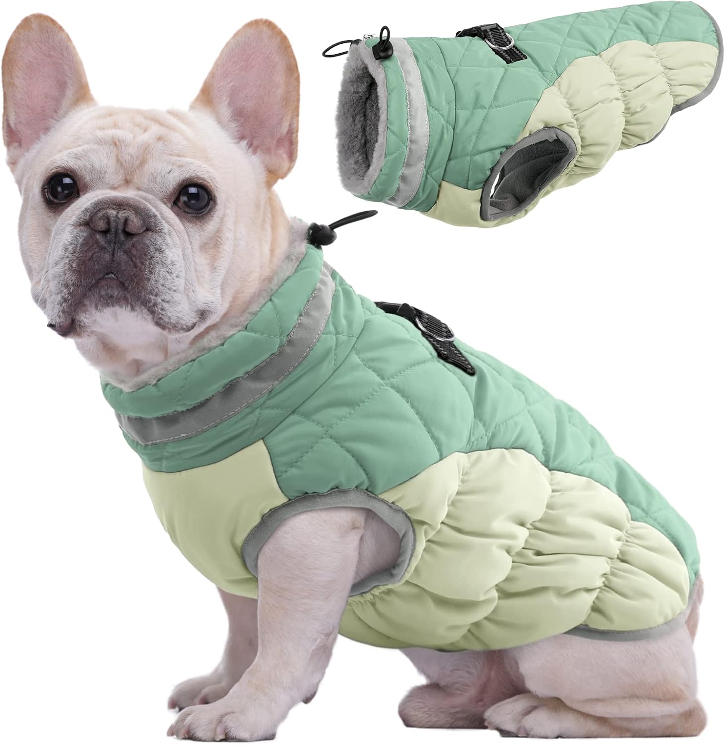 dog jackets amazon