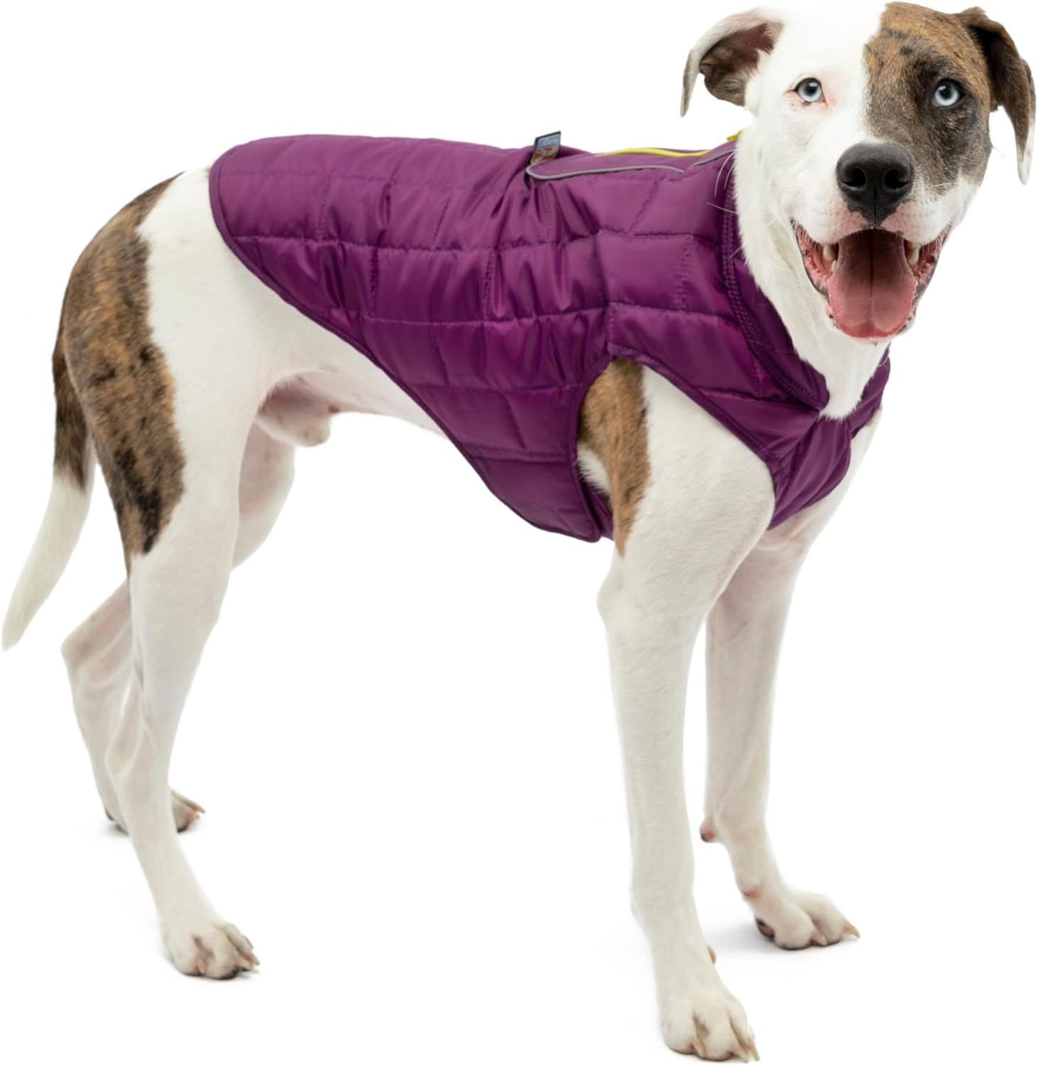 dog jackets amazon