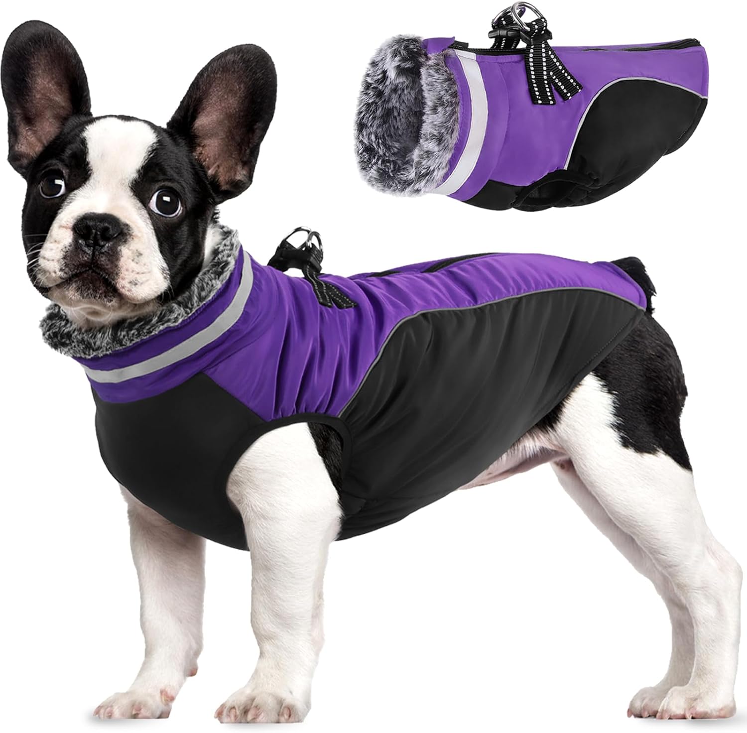 dog jackets amazon