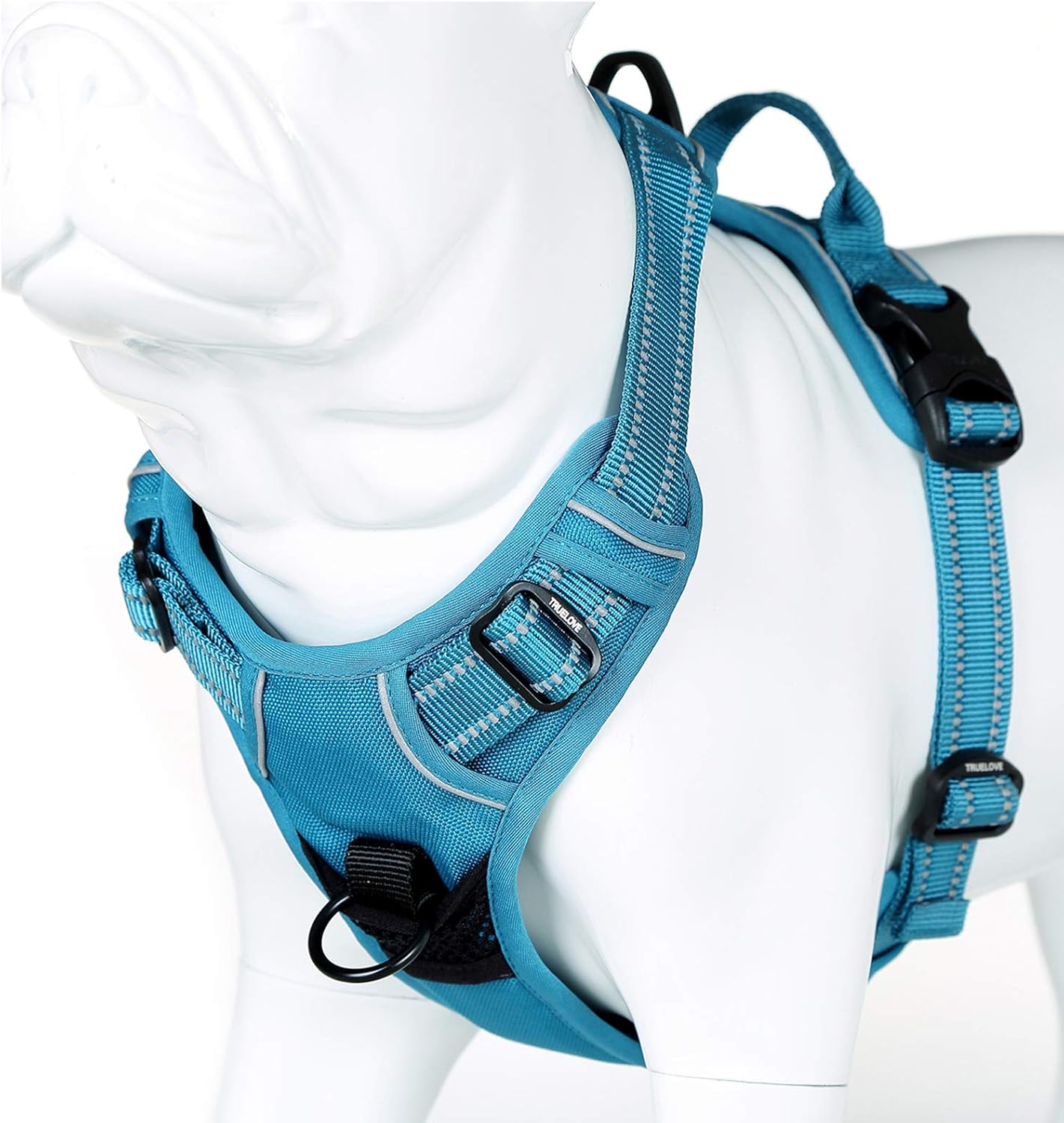 dog harness and leash