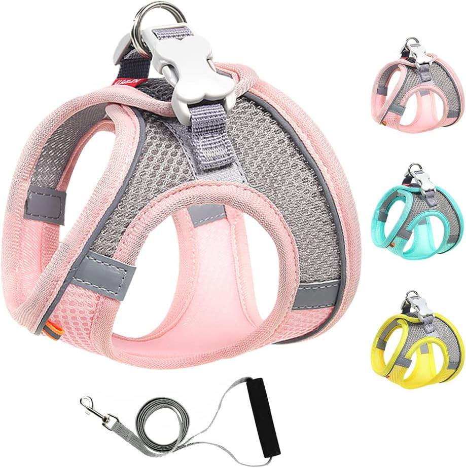 dog harness and leash