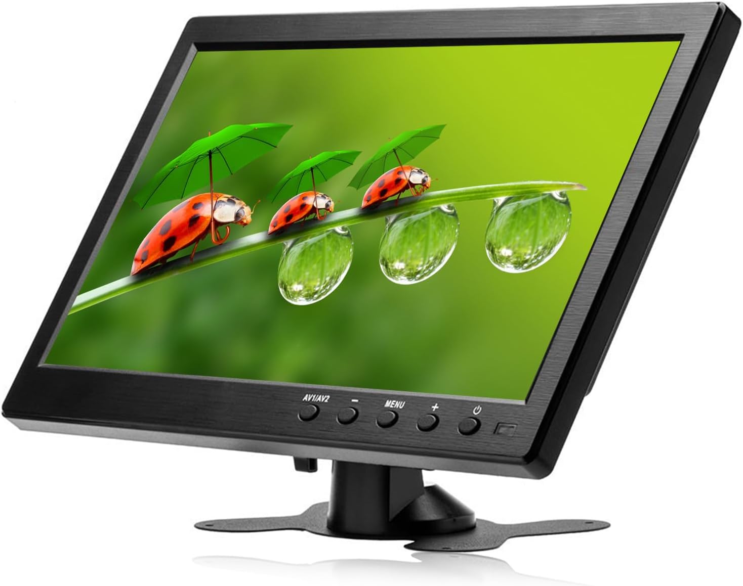 computer monitor