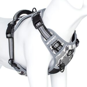 dog harness and leash