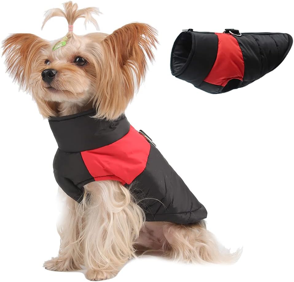 dog jackets amazon