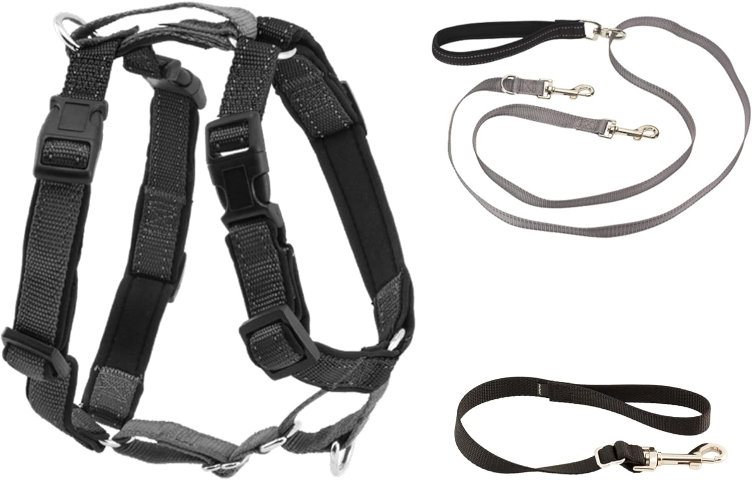 dog harness and leash