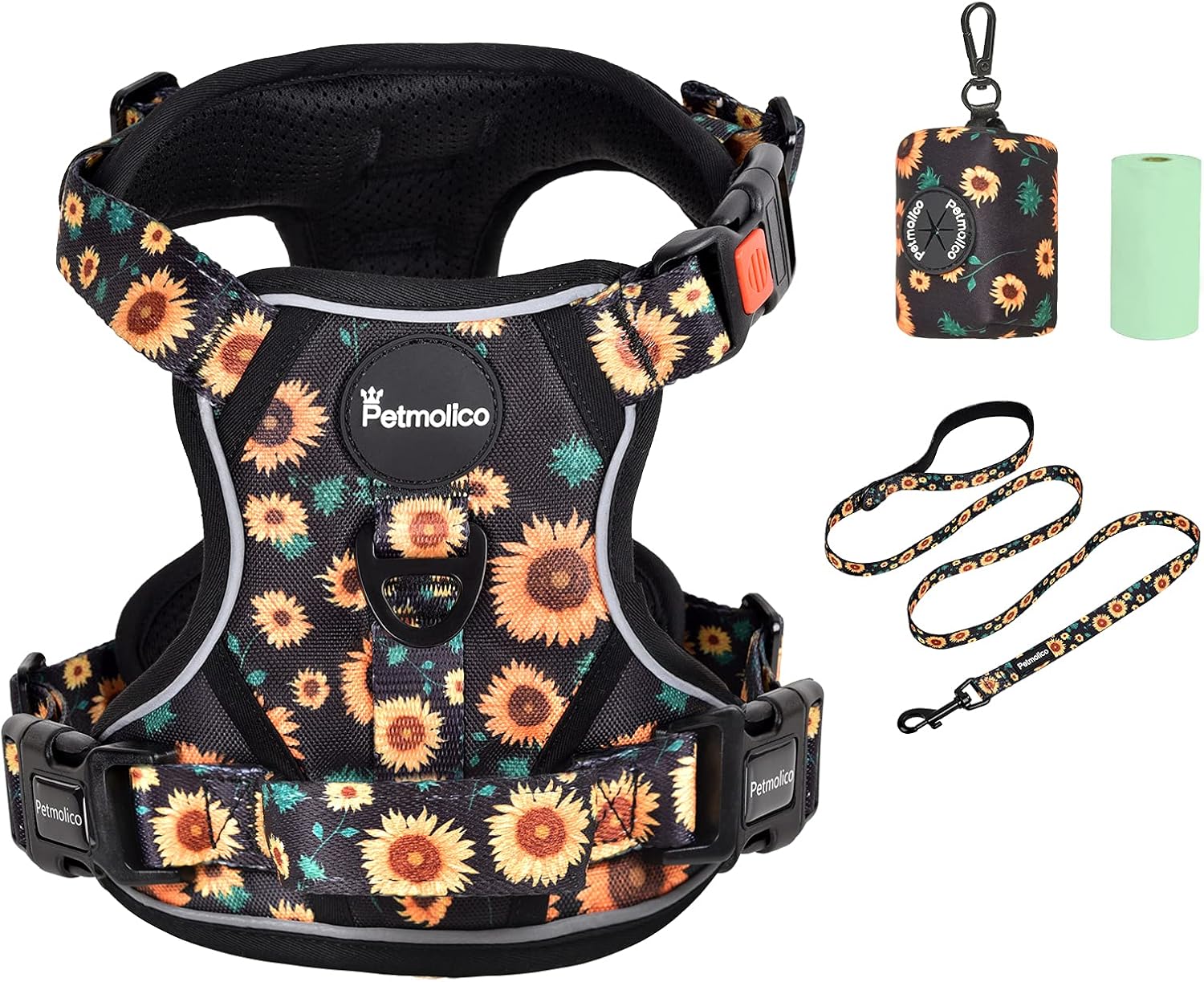 dog harness and leash