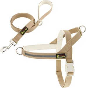 dog harness and leash