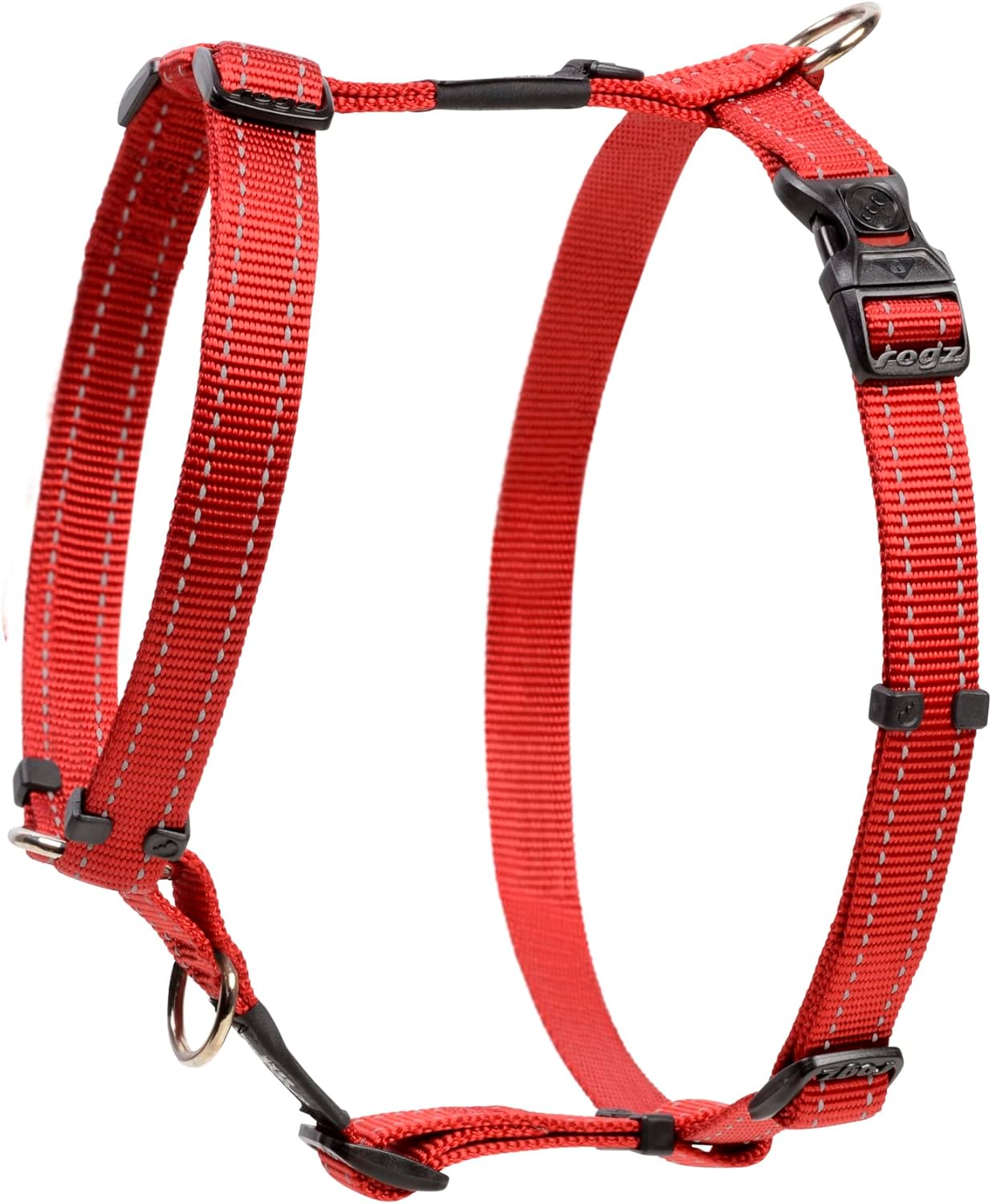 dog harness and leash