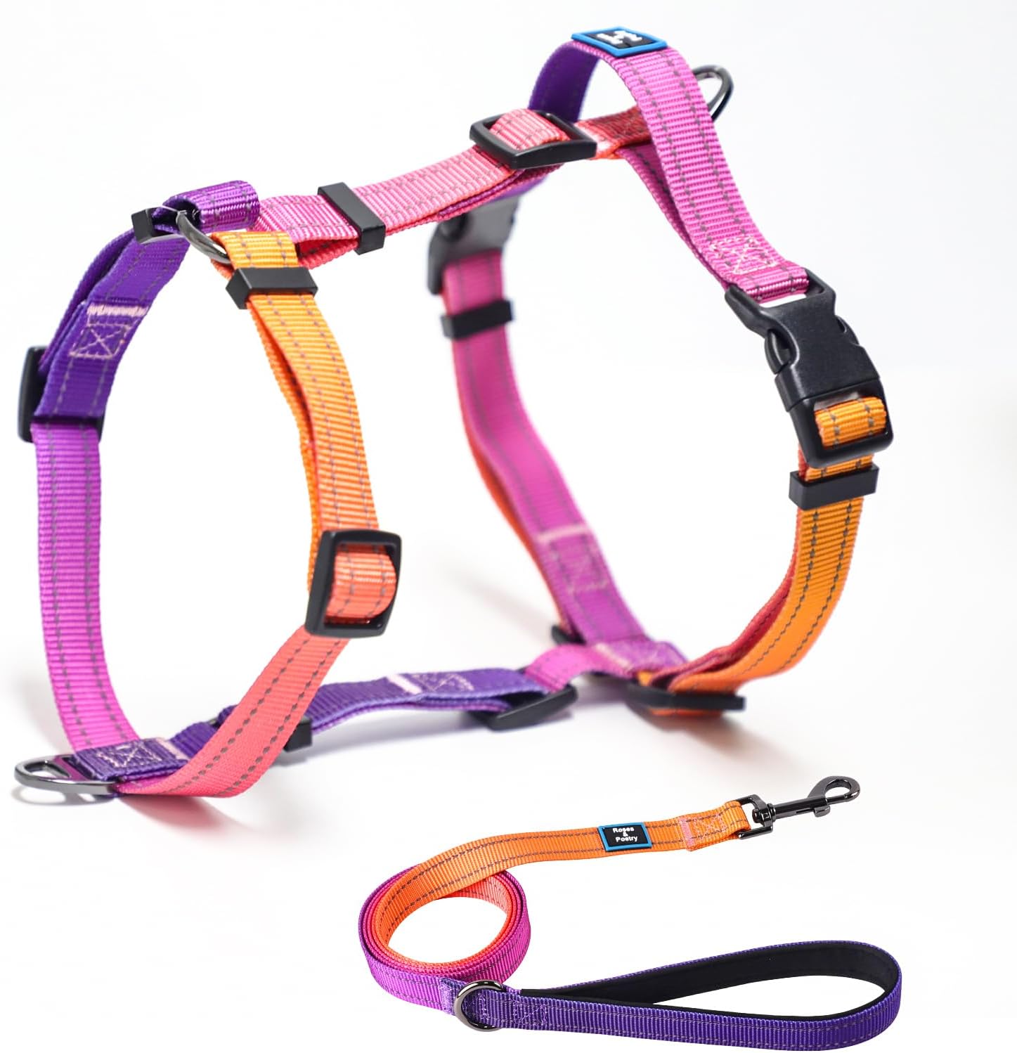 dog harness and leash