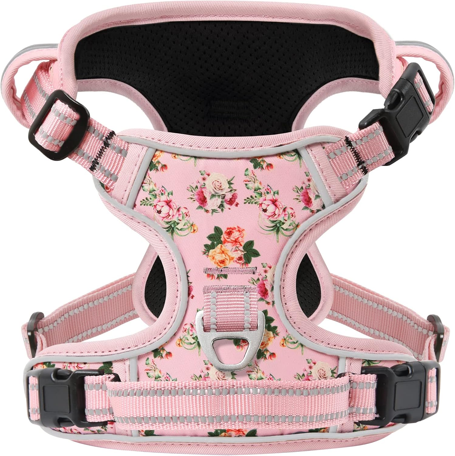 dog harness and leash