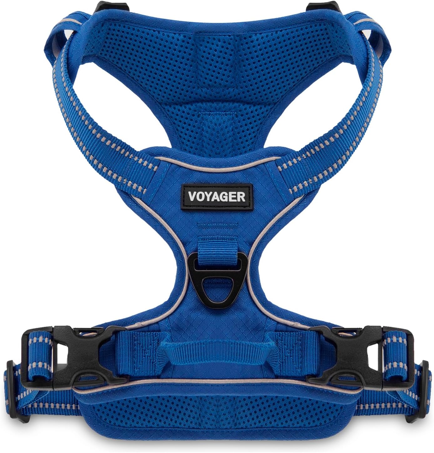 dog harness and leash