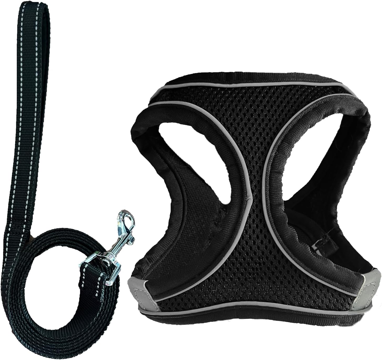 dog harness and leash