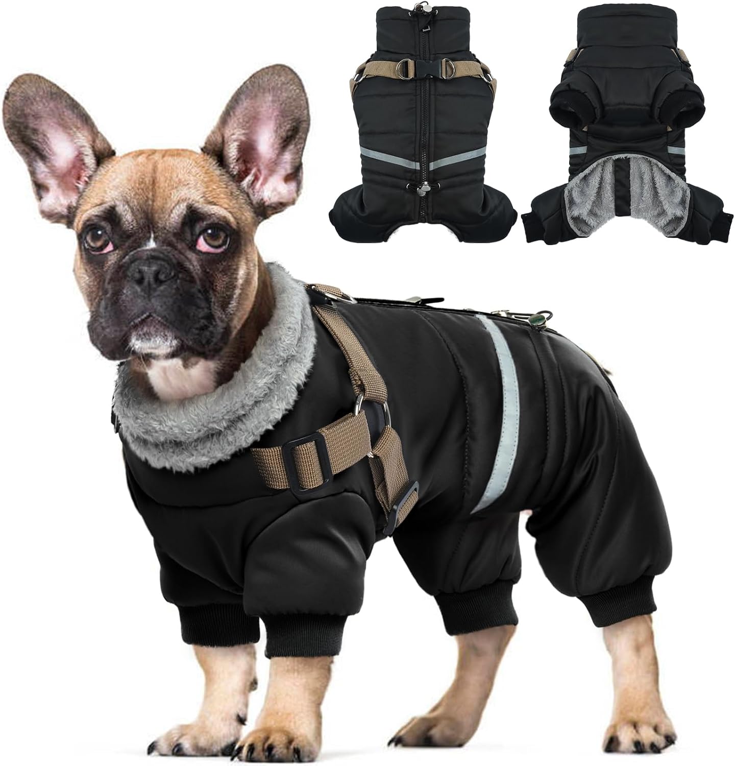 dog jackets for large dogs