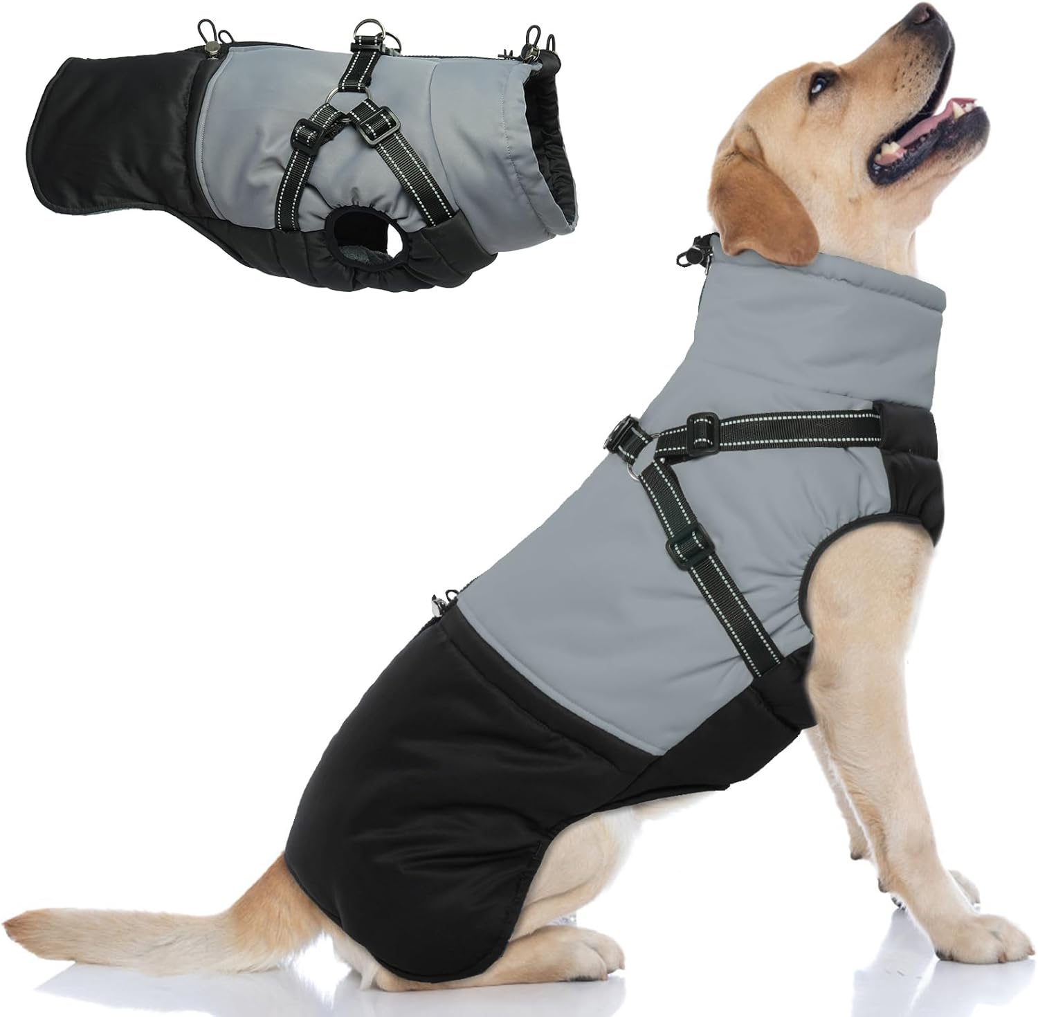 dog jackets for large dogs