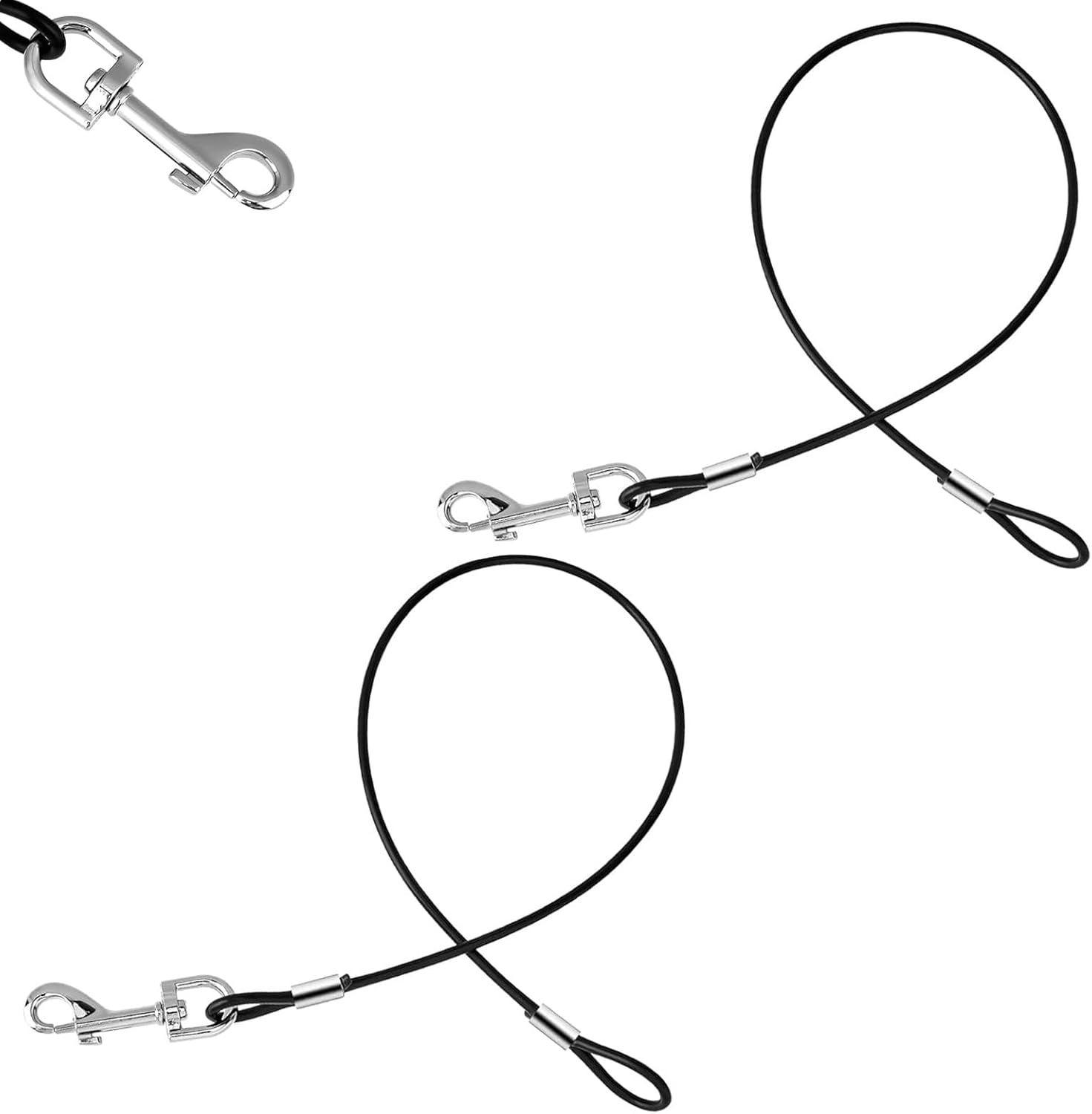 dog harness and leash