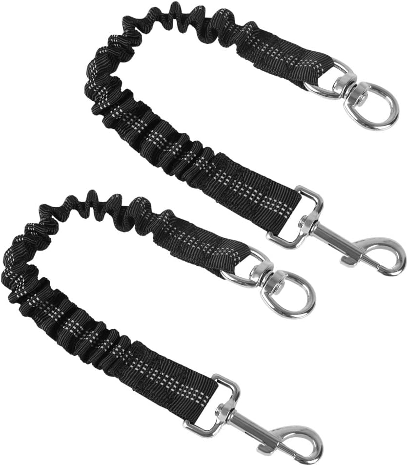 dog harness and leash