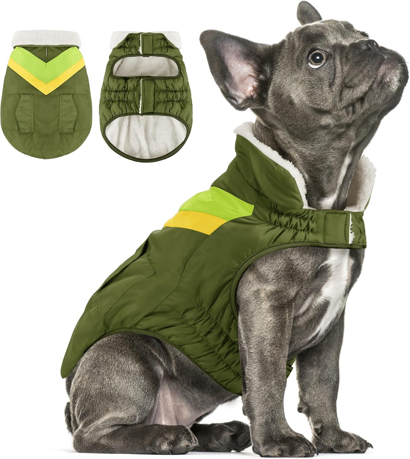 dog jackets for large dogs