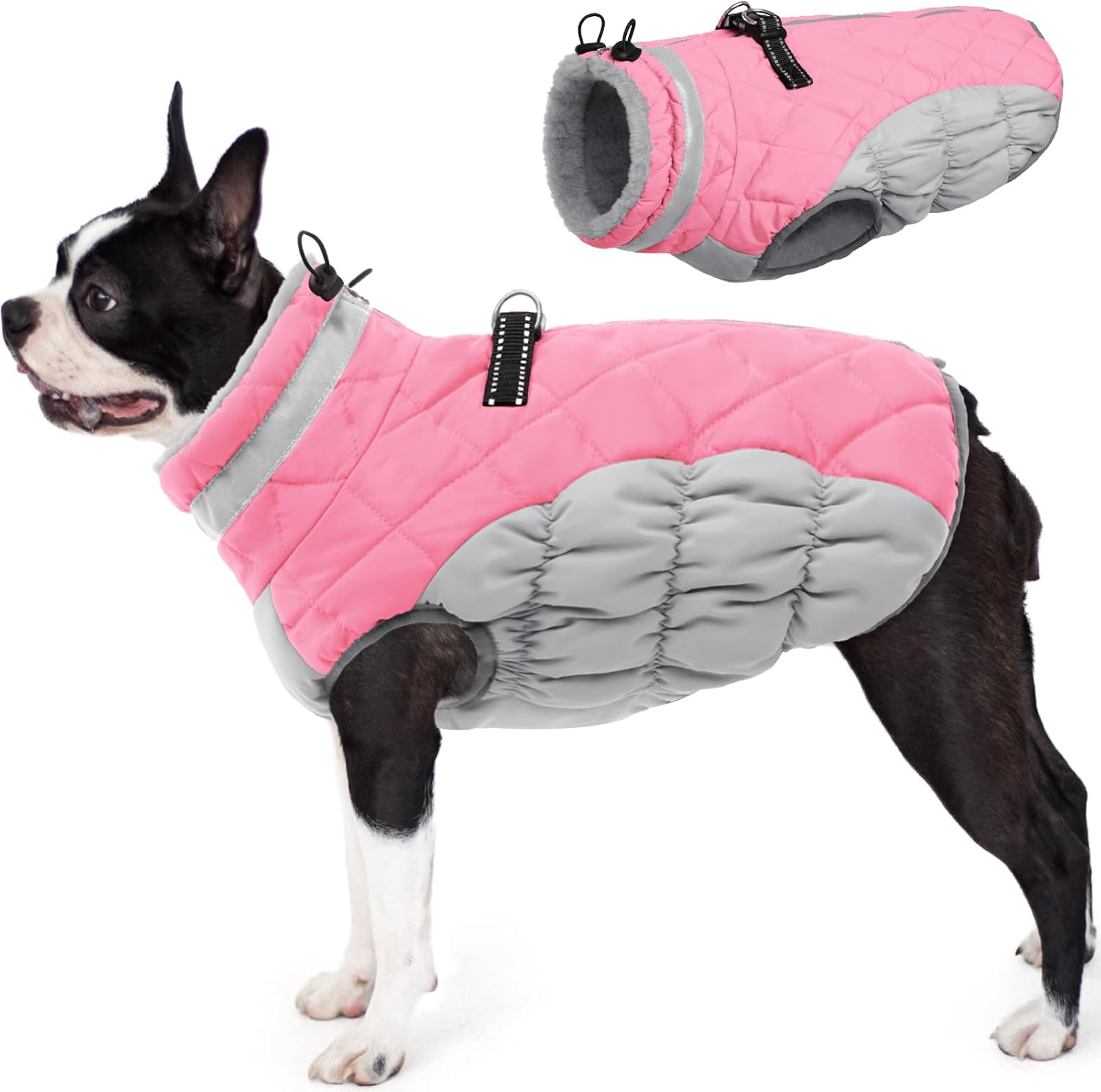 dog jackets for large dogs