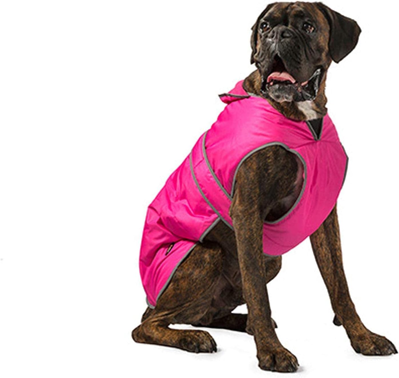 dog jackets for large dogs