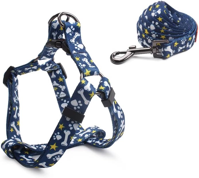 dog harness and leash