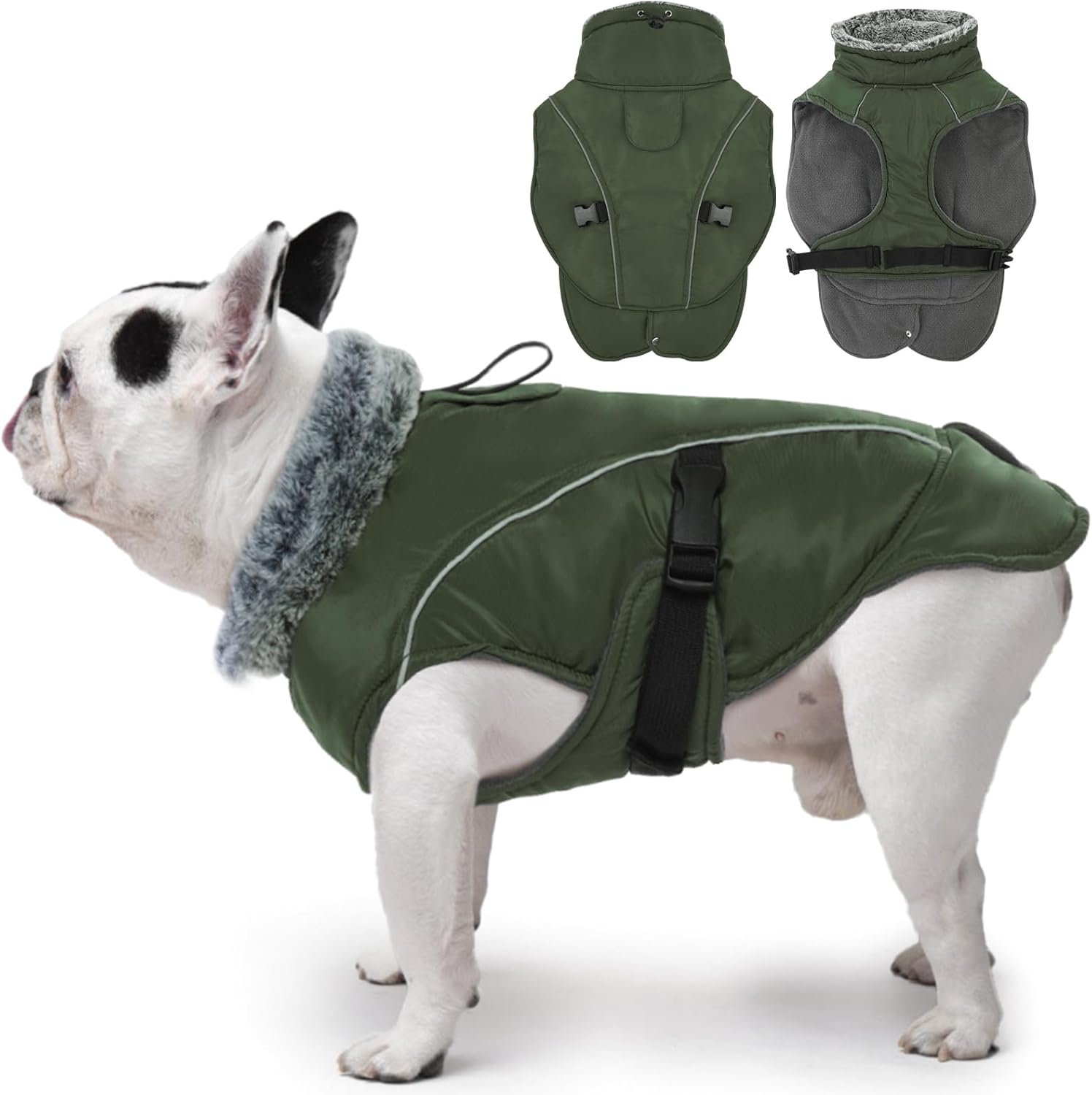 dog jackets for large dogs