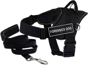 dog harness and leash