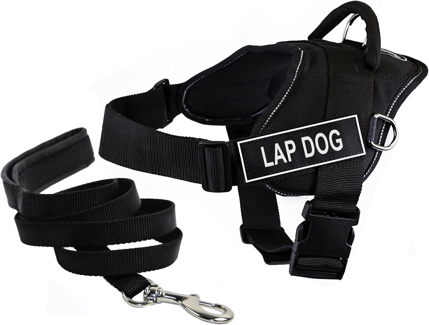 dog harness and leash