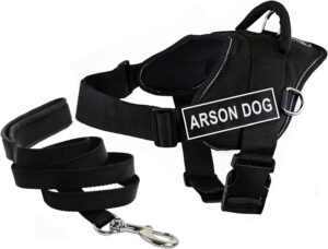 dog harness and leash