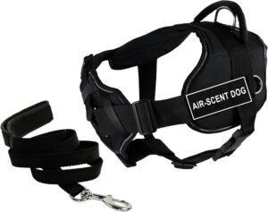 dog harness and leash