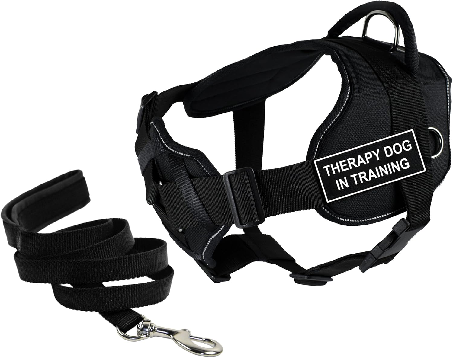 dog harness and leash