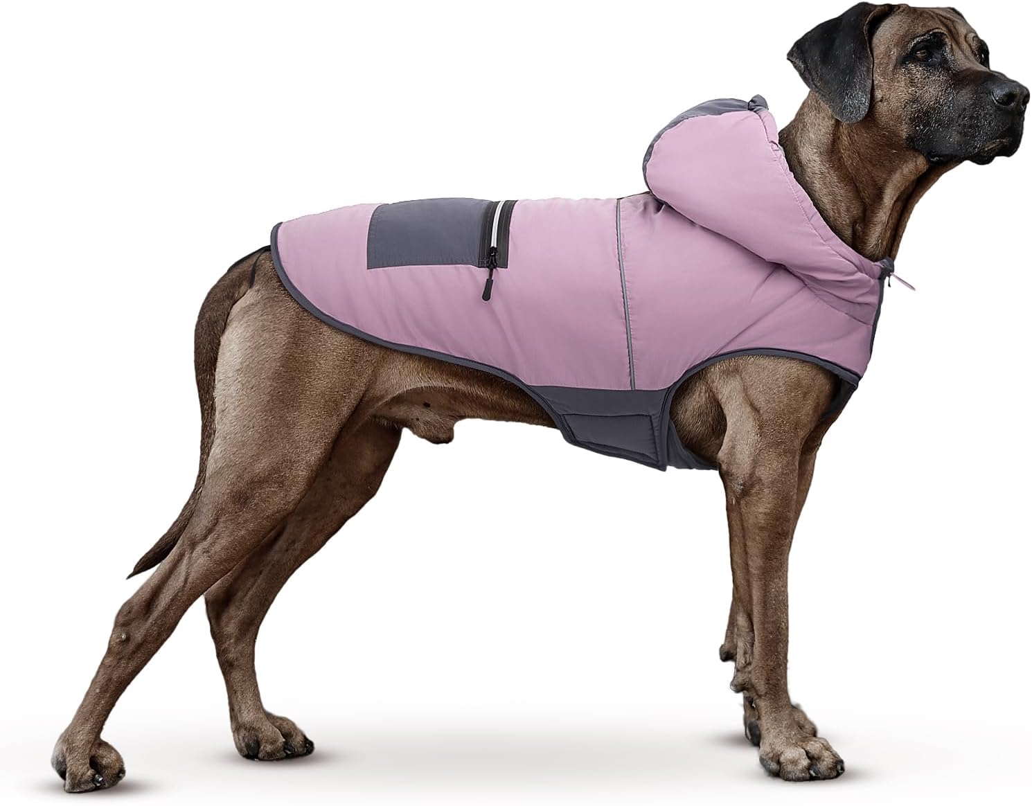 dog jackets for large dogs