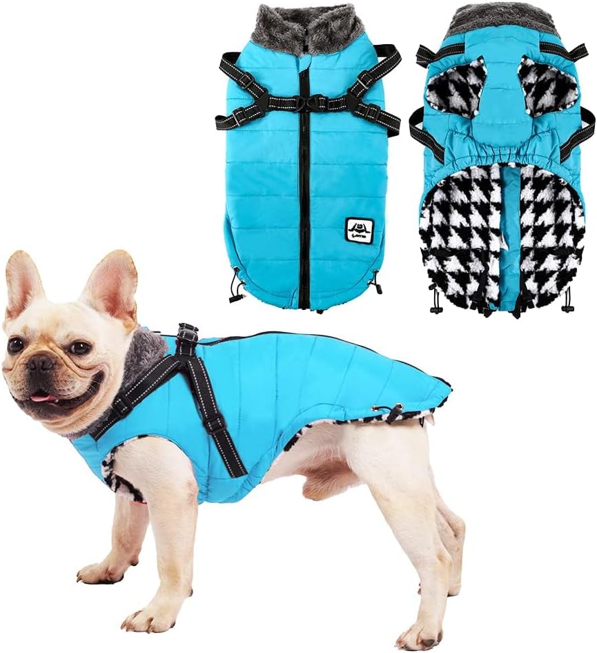 dog jackets for large dogs