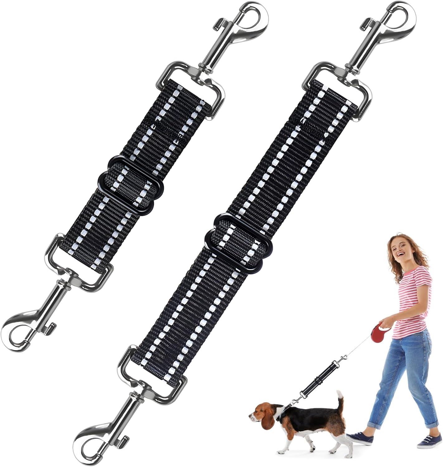 dog harness and leash