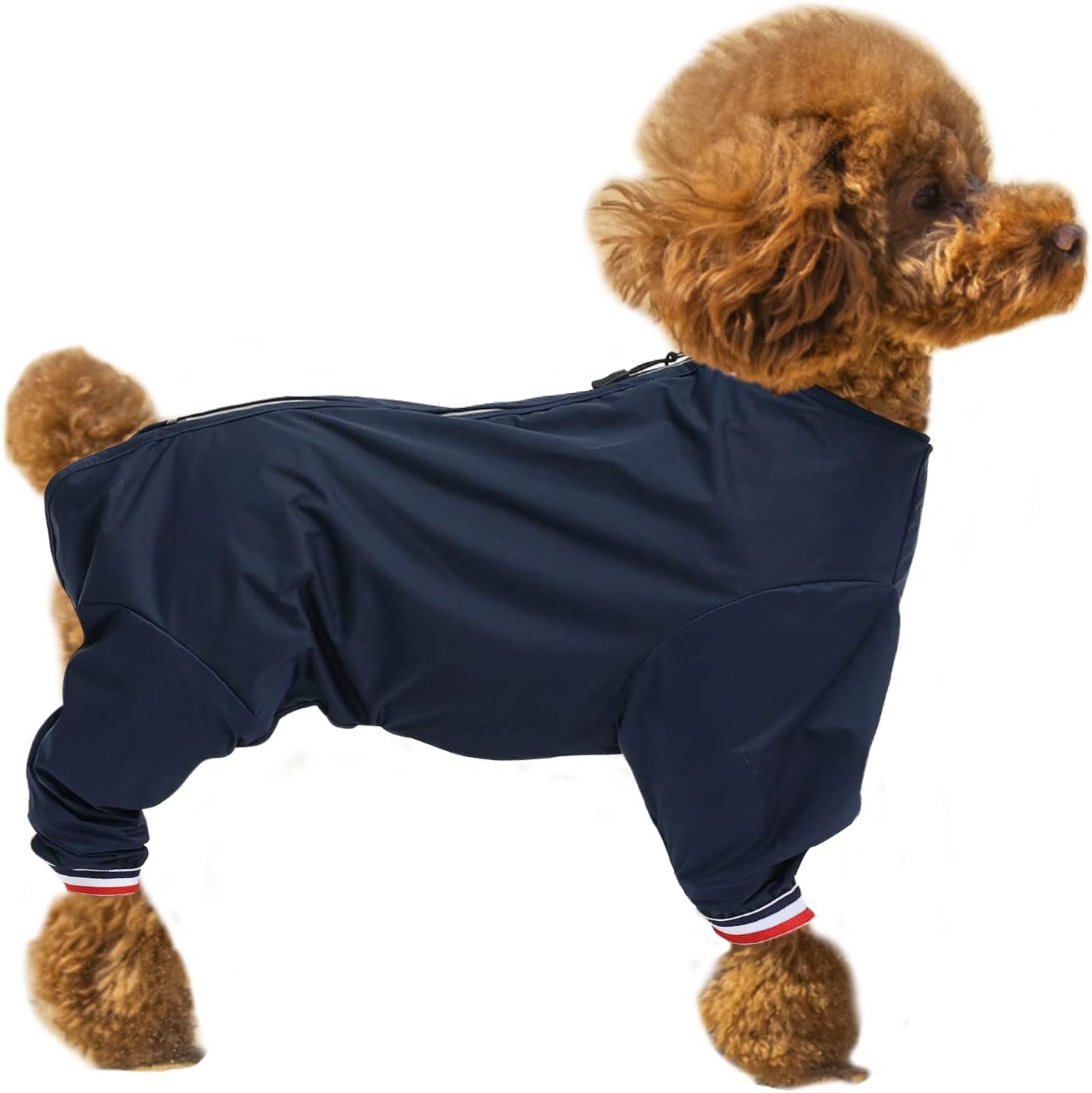 dog jackets with legs