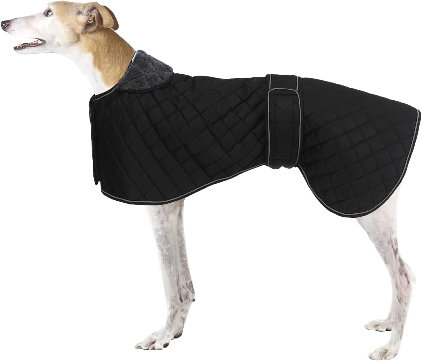 dog jackets for large dogs