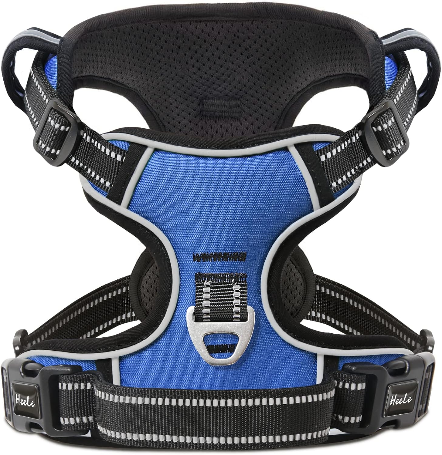 dog harness and leash