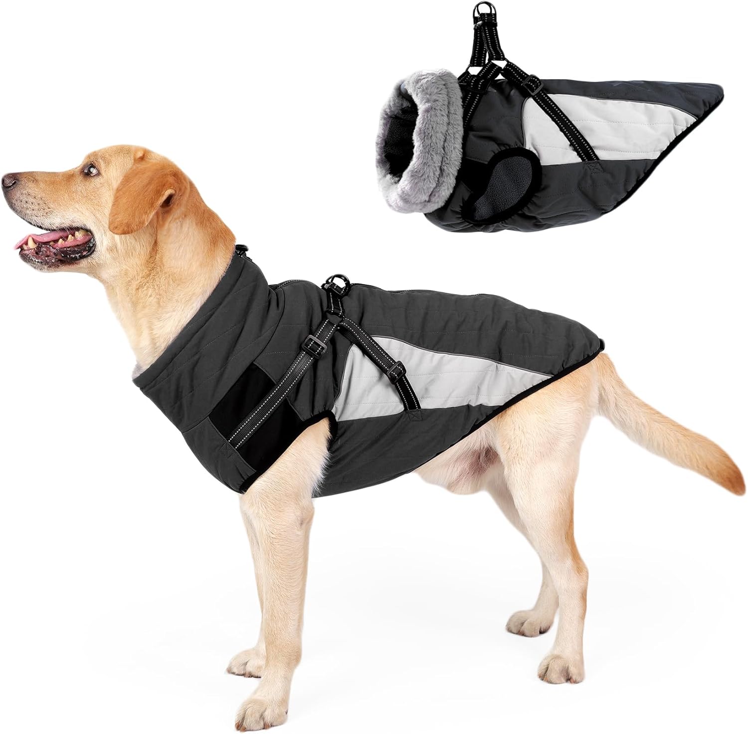 dog jackets for large dogs