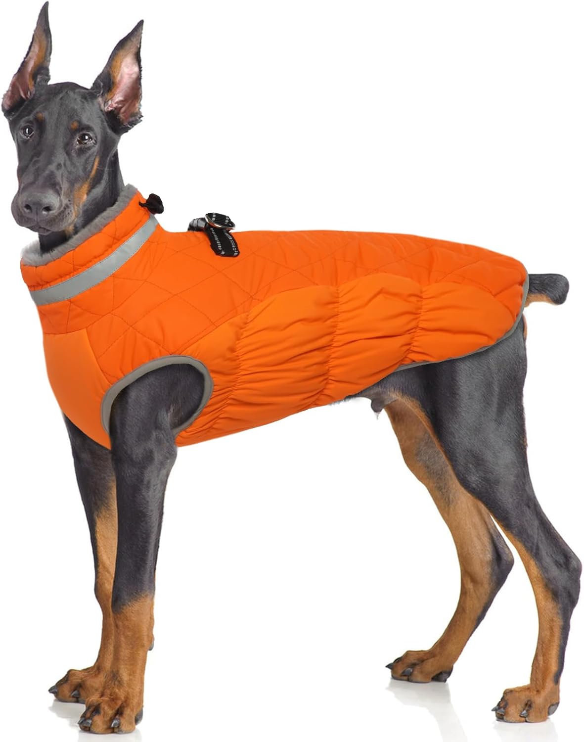 dog jackets for large dogs