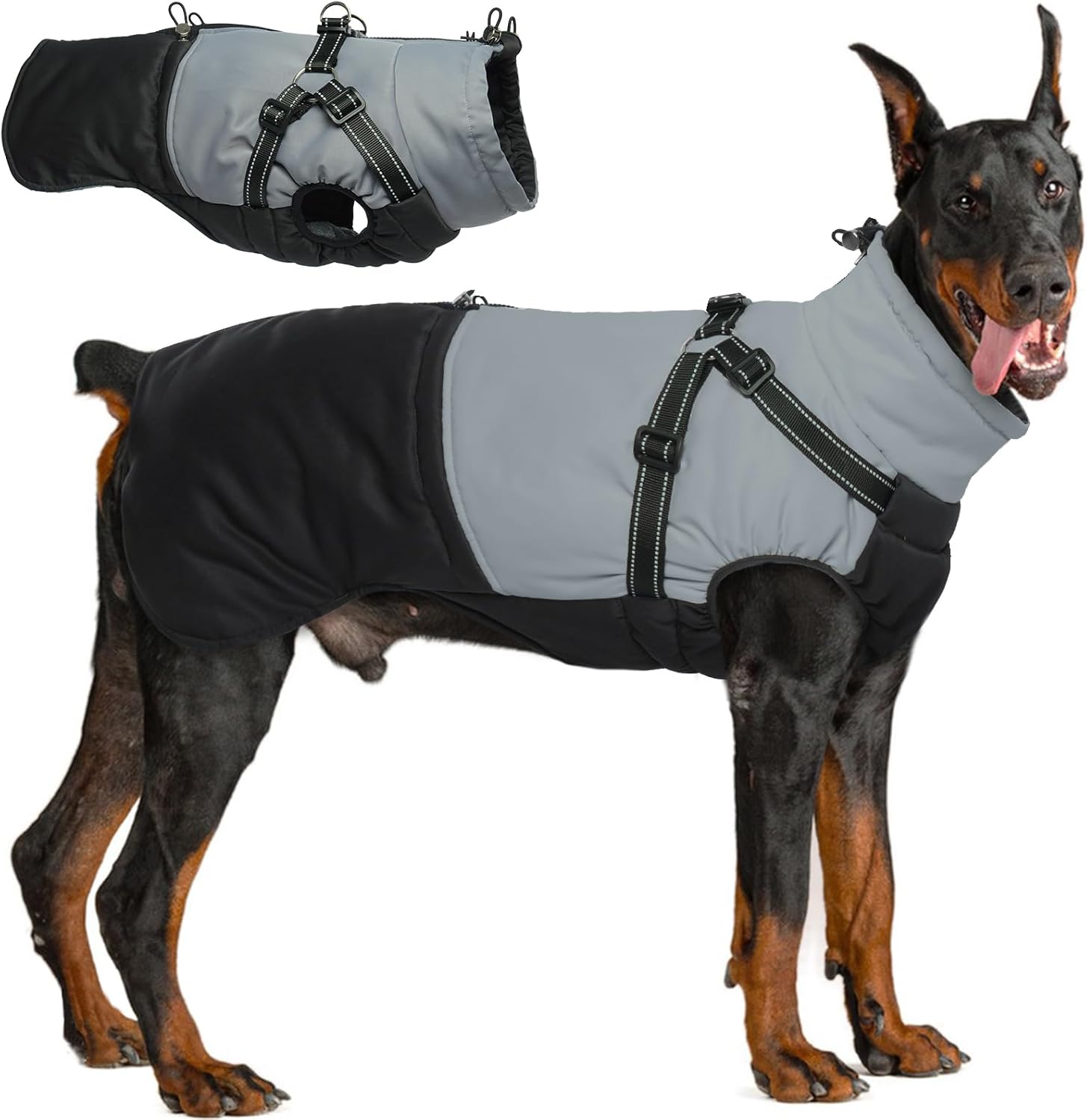 dog jackets for large dogs