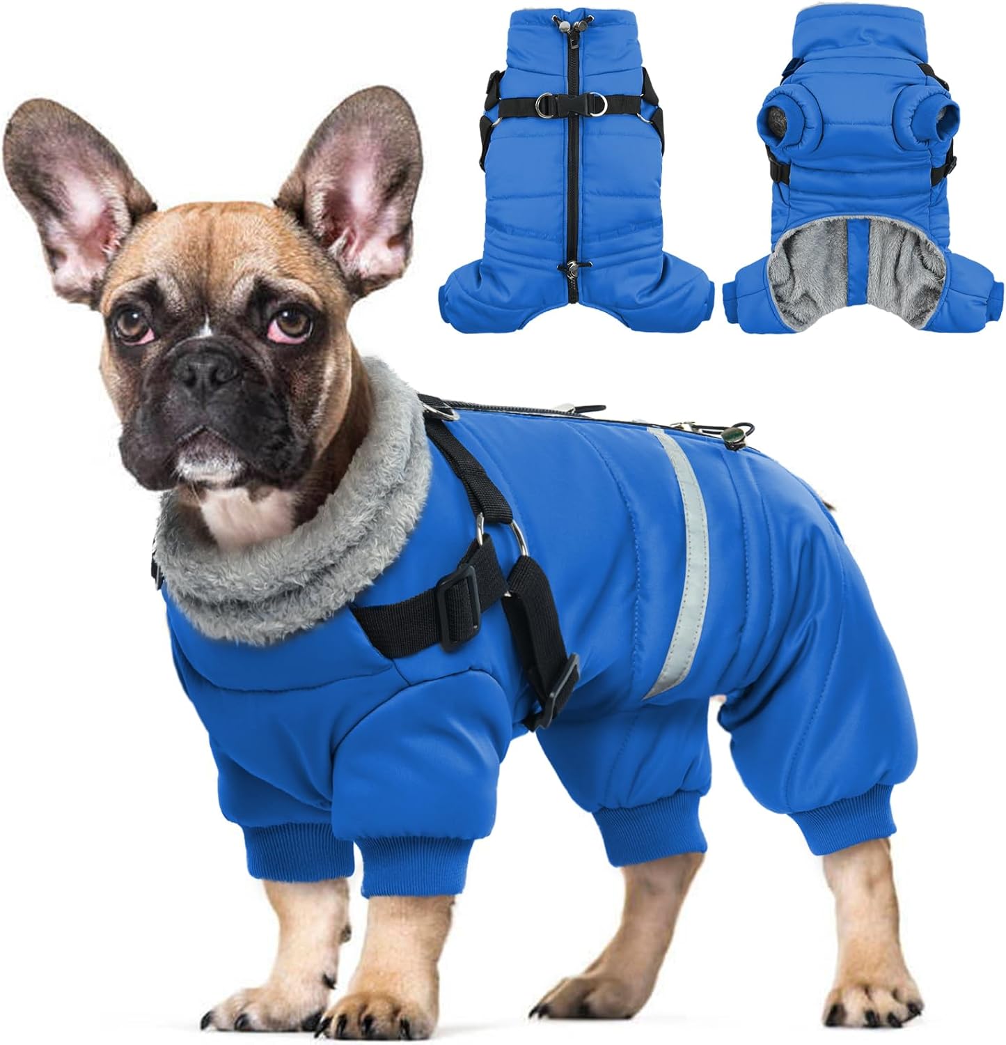 dog jackets for large dogs