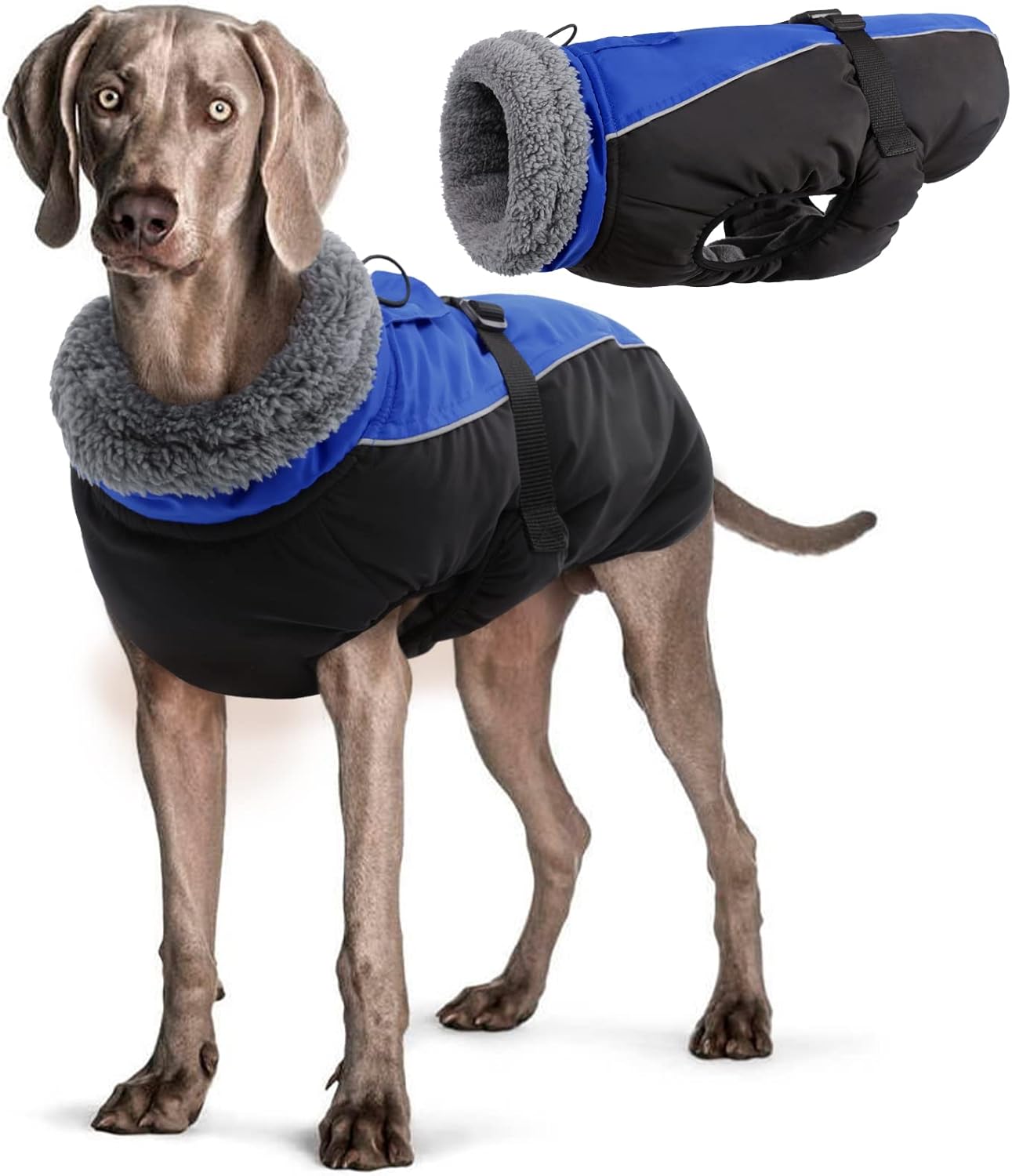 dog jackets for large dogs