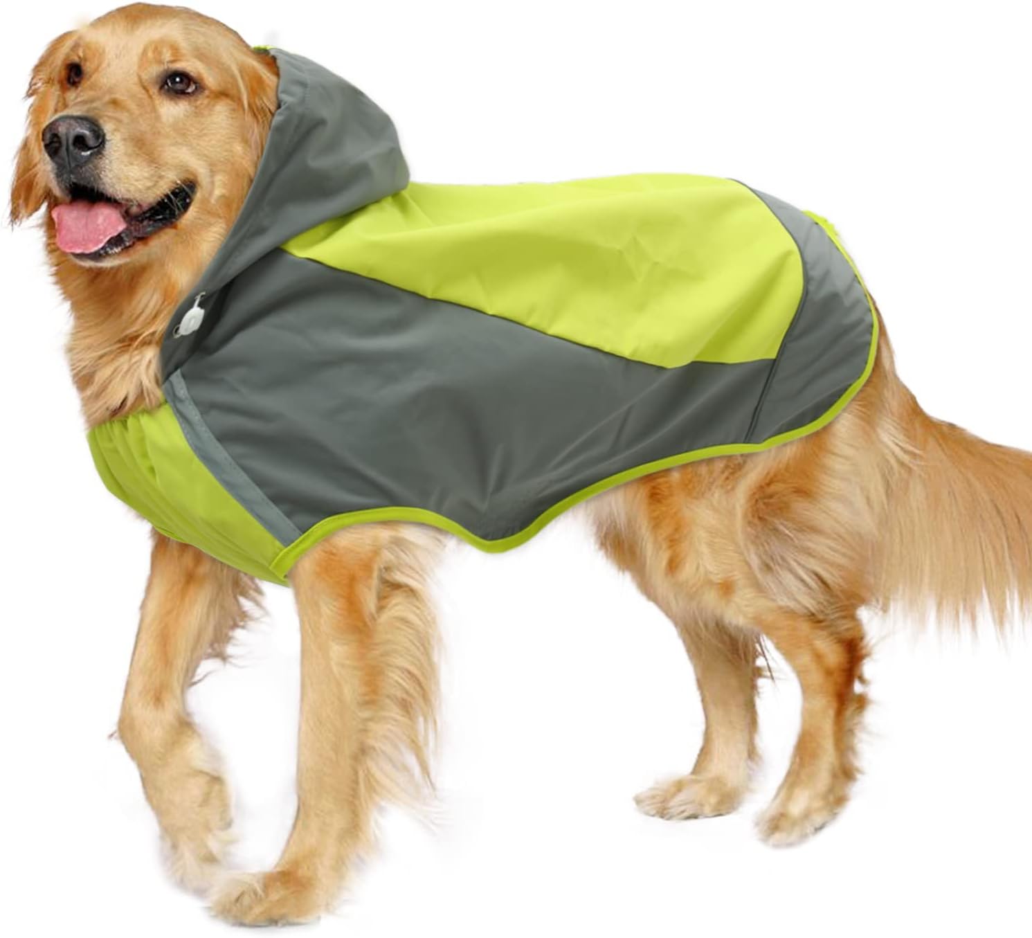 dog jackets for large dogs