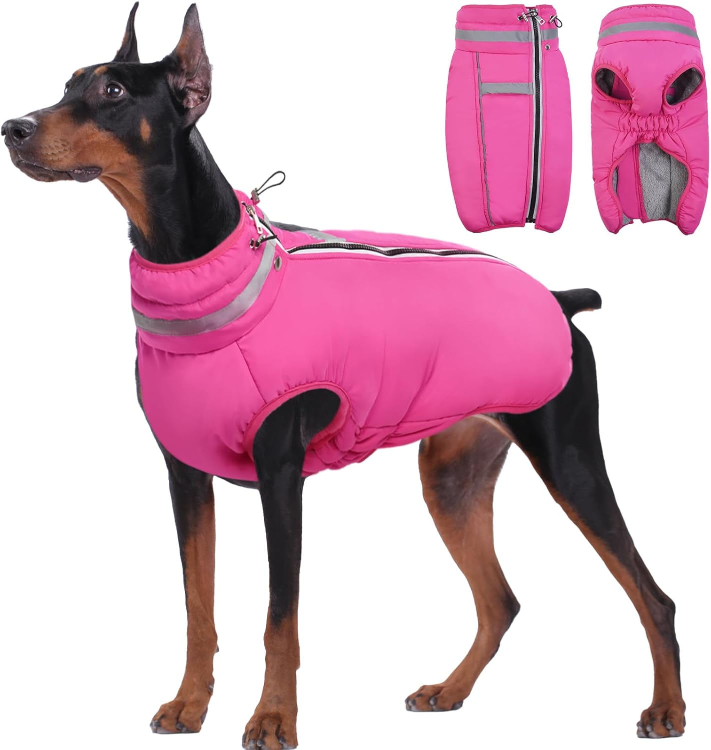 dog jackets for large dogs