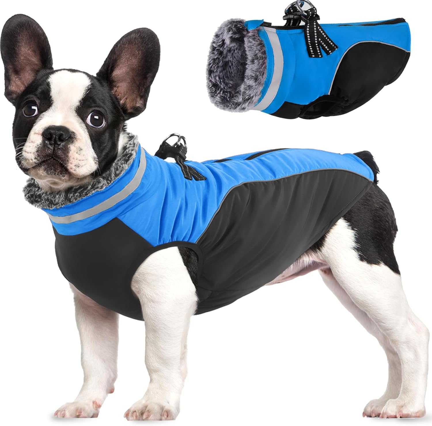 dog jackets for large dogs